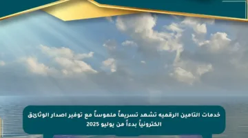 خدمات التأمين الرقمية تشهد تسريعاً ملموساً مع توفير إصدار الوثائق الكترونياً بدءاً من يوليو 2025